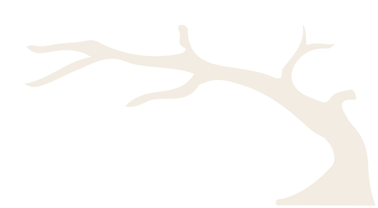Cinder tree logo